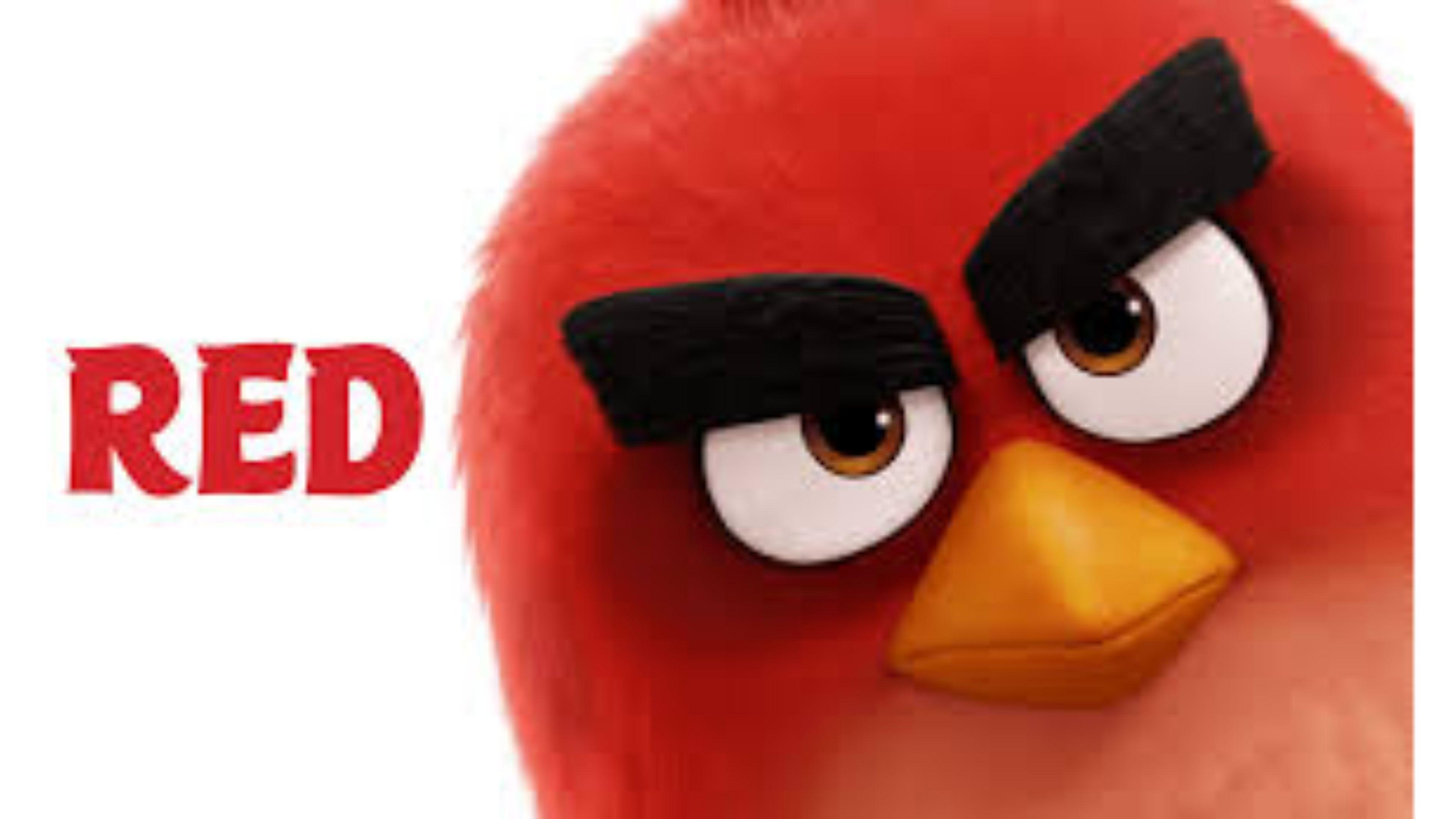 Red The Angry Birds Movie 4K Wallpaper. Free 4K Wallpaper