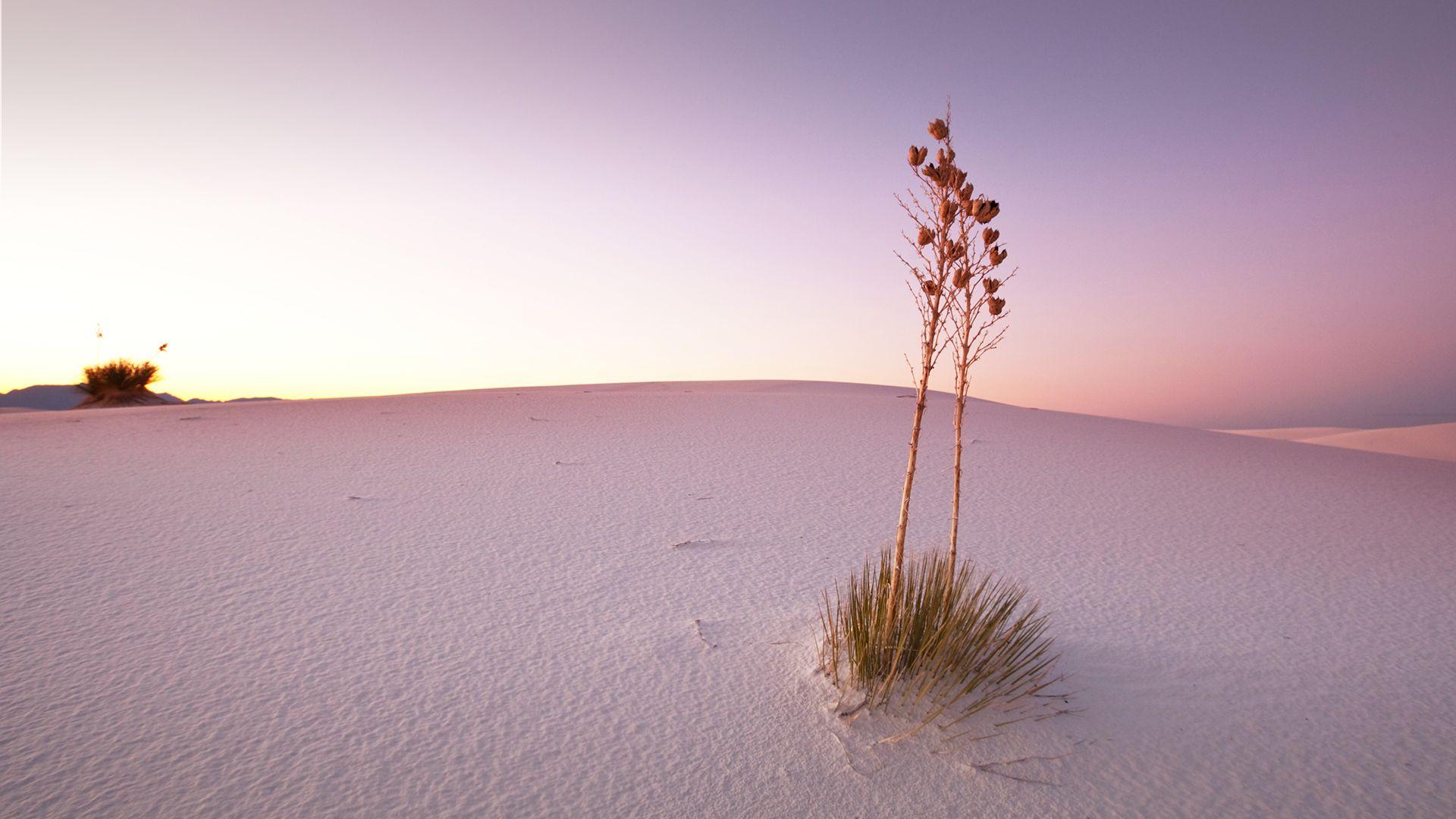 White Sands National Monument, New Mexico, USA. Windows 10