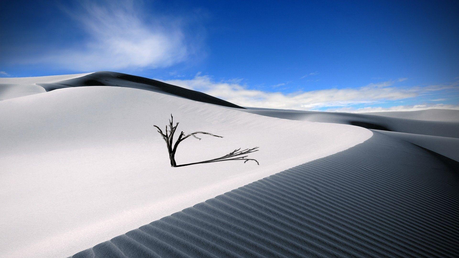 White Sands National Monument. New Mexico. Feel The Planet