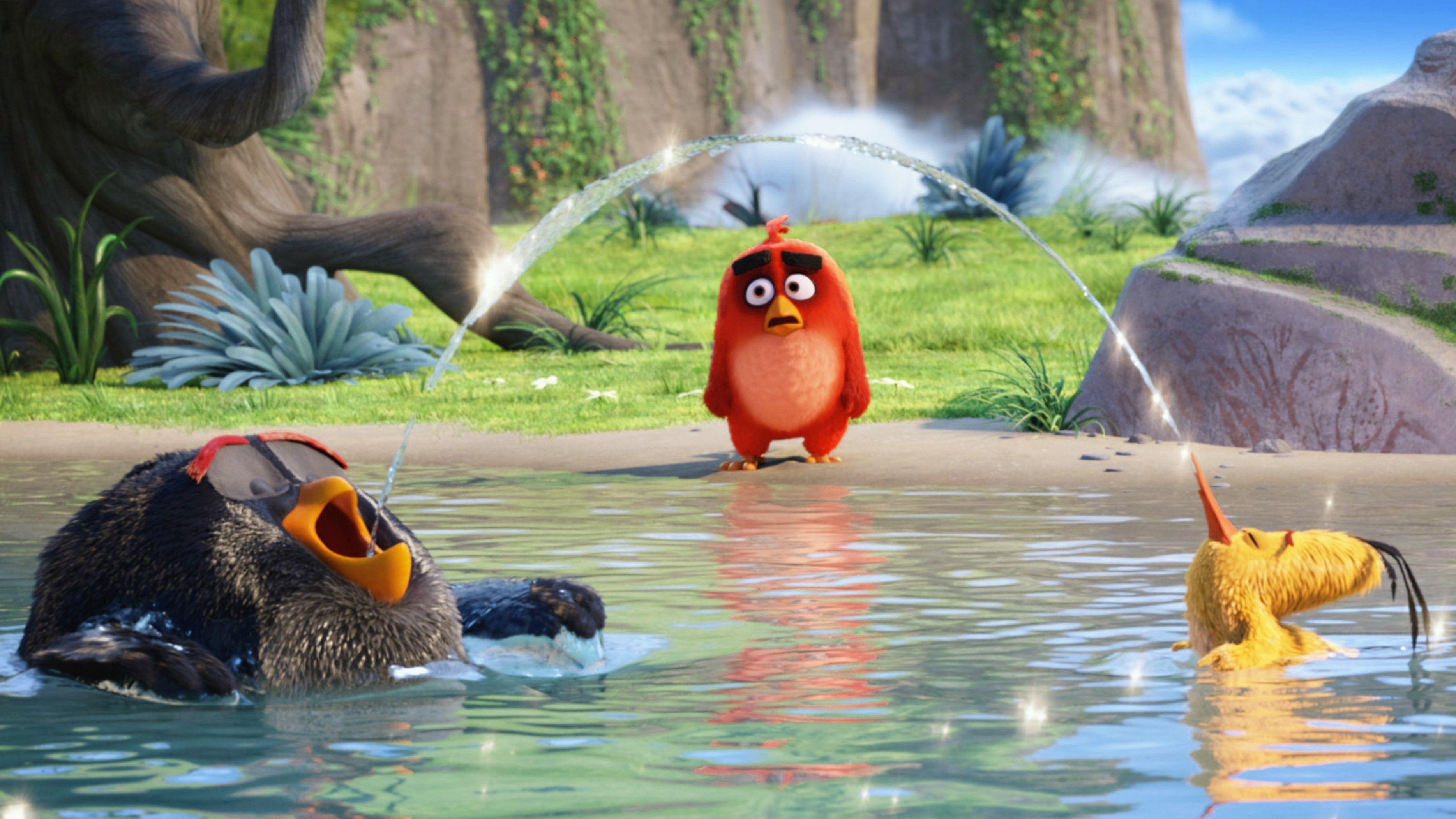 The Angry Birds Movie Latest, HD Movies, 4k Wallpaper, Image