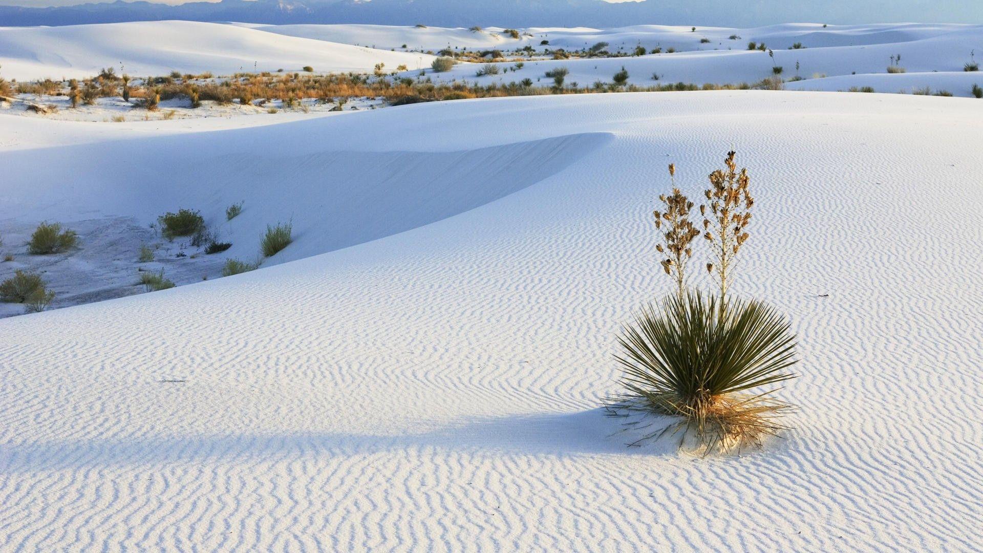 White Sands, New Mexico. Mexico wallpaper, White sands new mexico