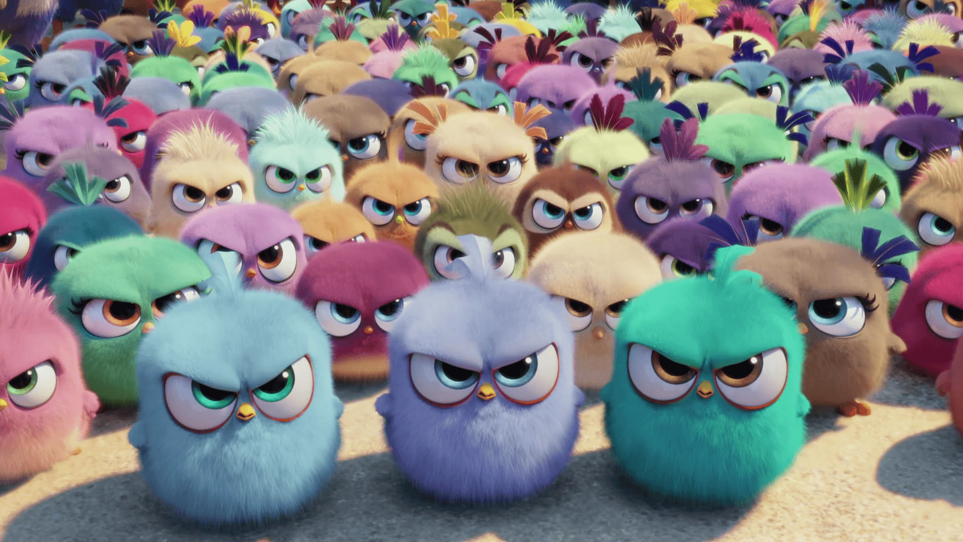 The Angry Birds Movie HD Gallery and first trailer