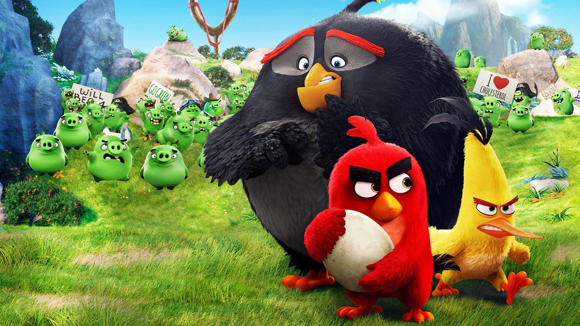 The Angry Birds Movie Full HD Wallpaper
