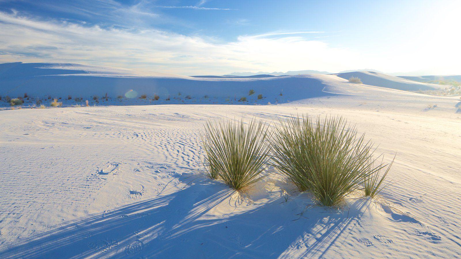 Beach Picture: View Image of New Mexico