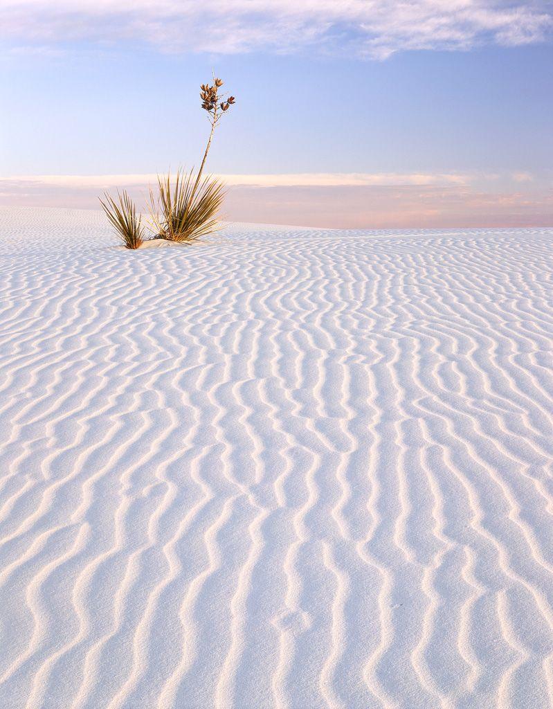 White Sands National Monument 2014