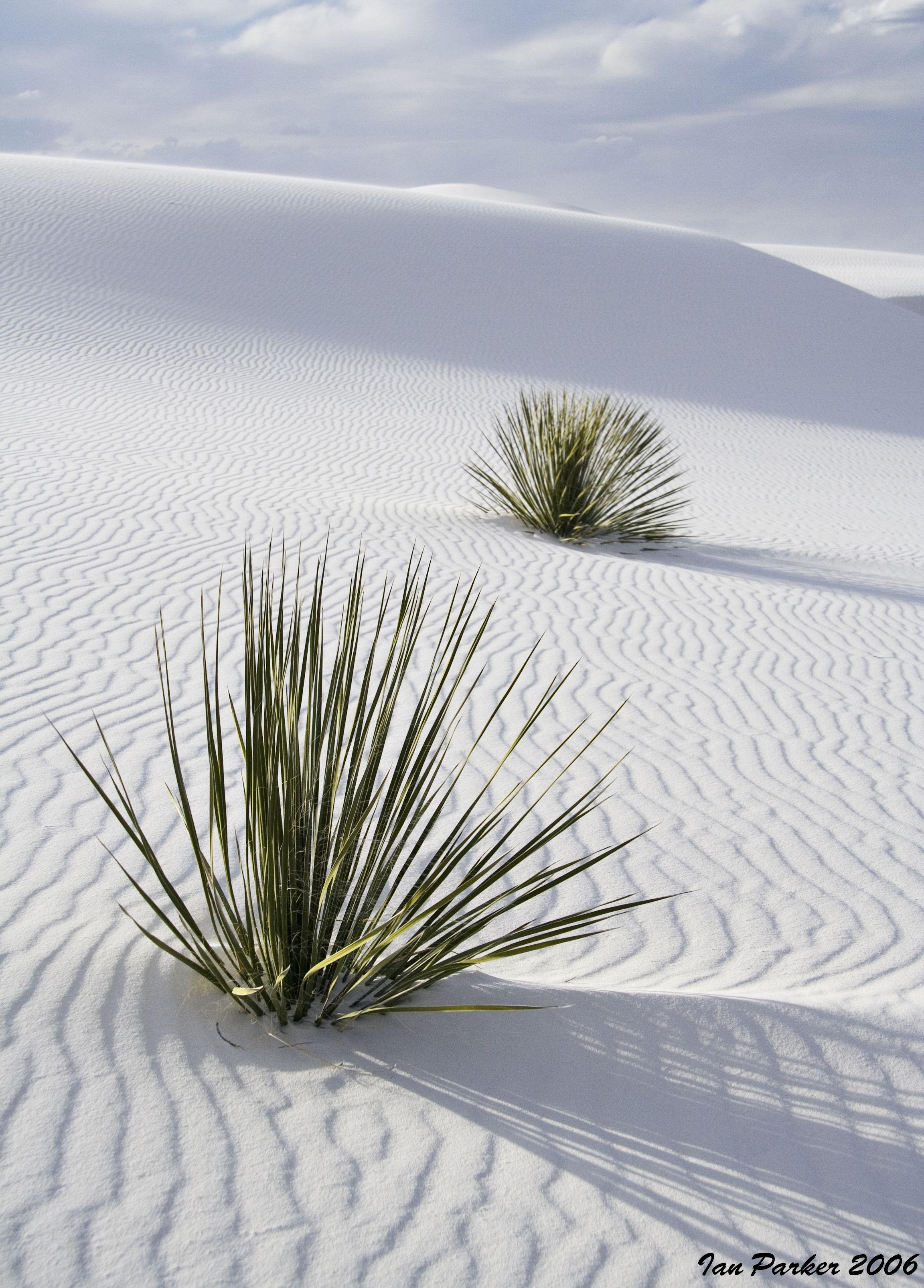 White Sands National Monument, New Mexico.oh this is one fun