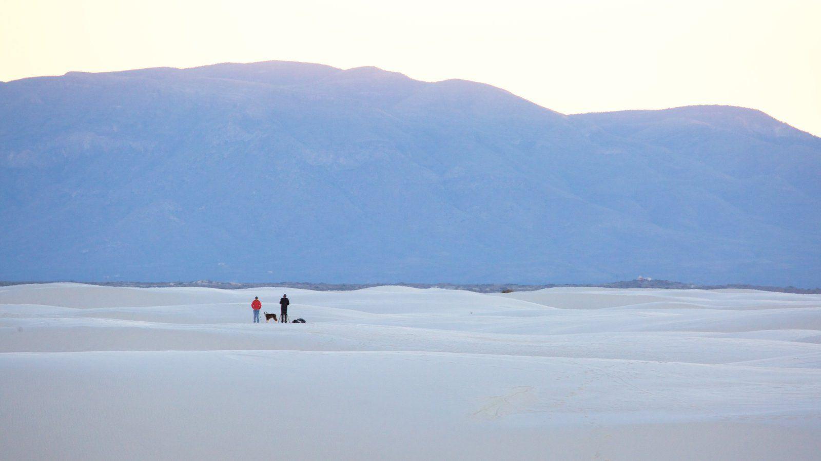 Beach Picture: View Image of New Mexico