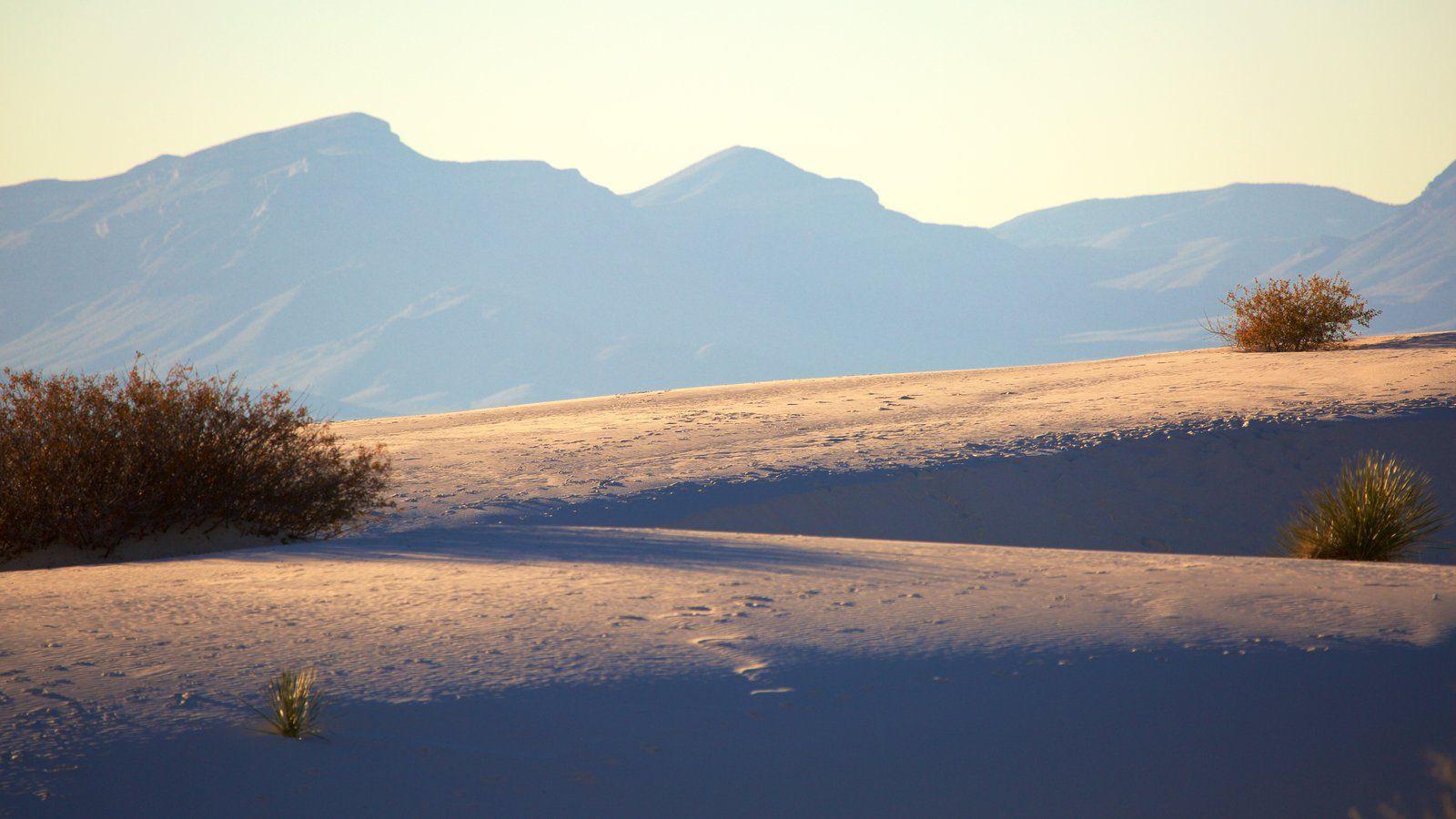 Beach Picture: View Image of New Mexico