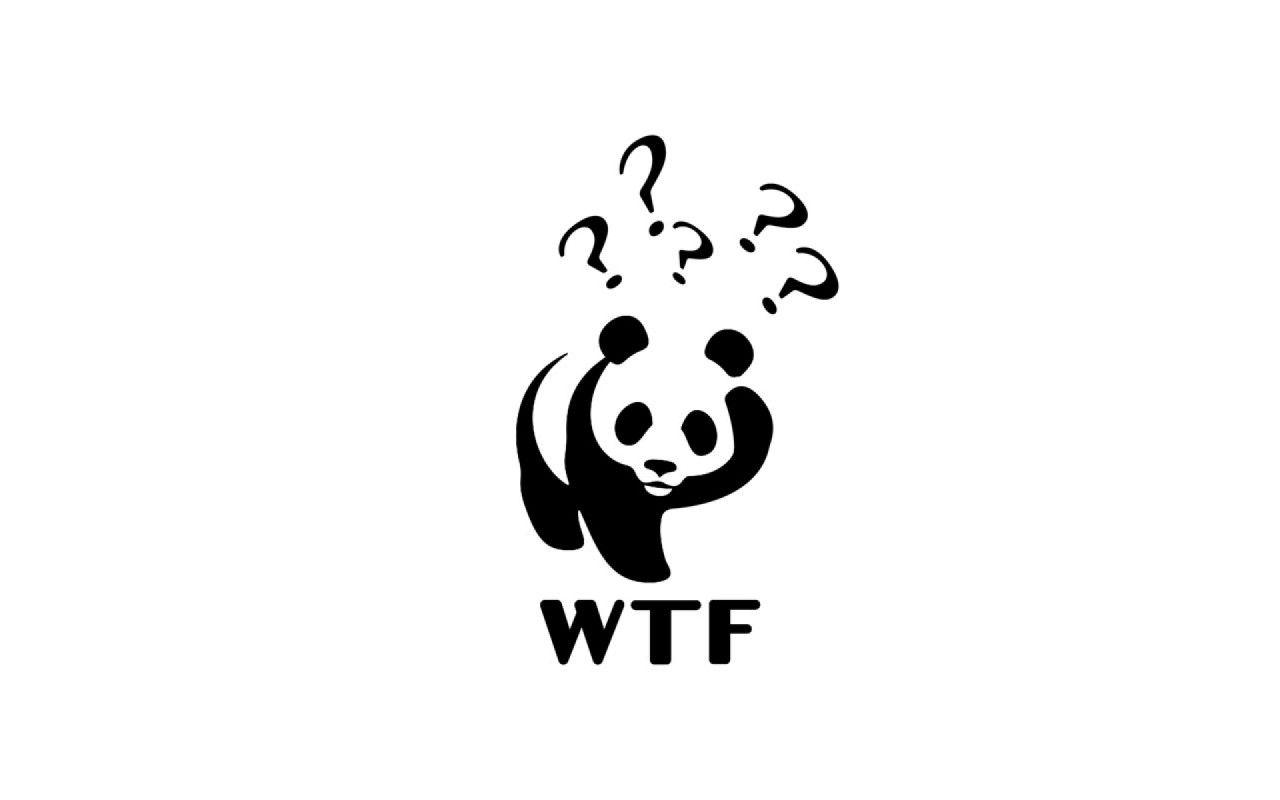 Confused Panda wallpaper. Confused Panda