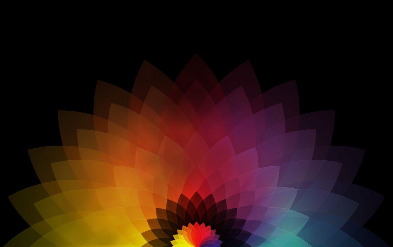 Colored Abstract Flower wallpapers