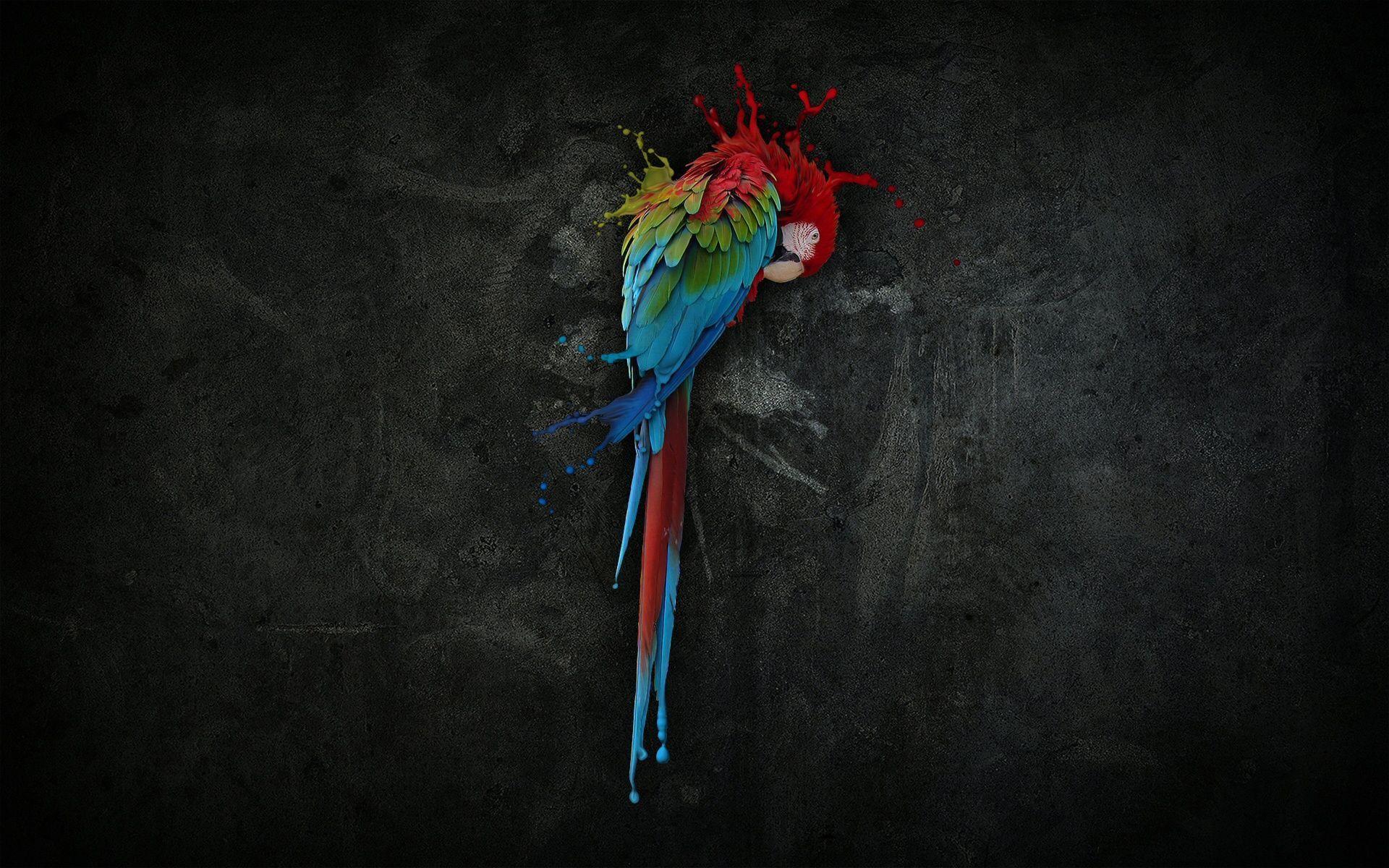 Rainbow Parrot Digital Art Wallpaper