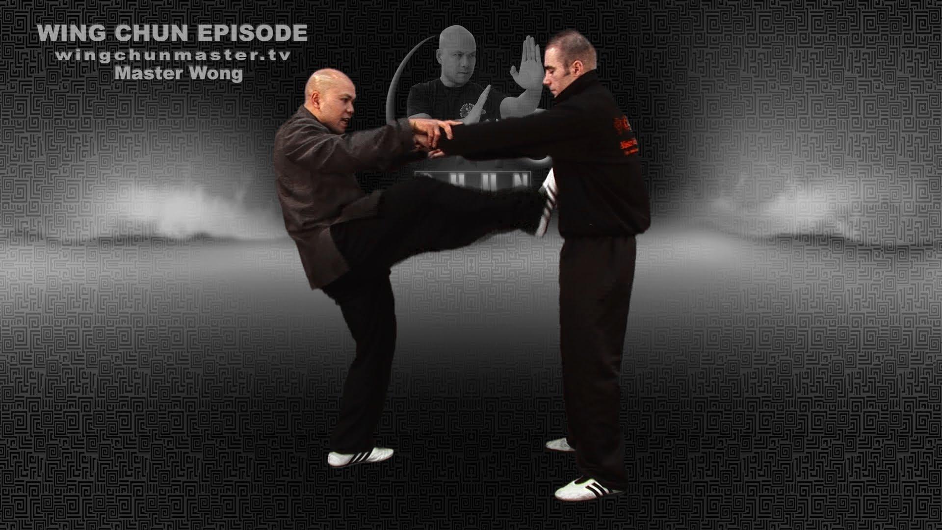 Wing Chun wing chun kung fu basic dummy work -Episode 11