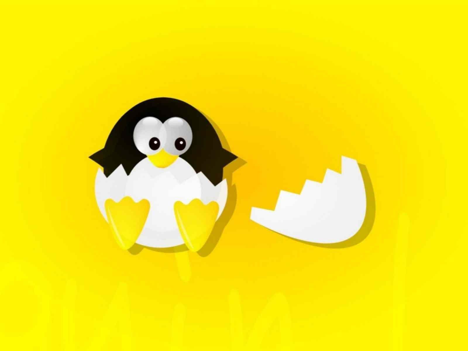 cute animated penguin wallpaper