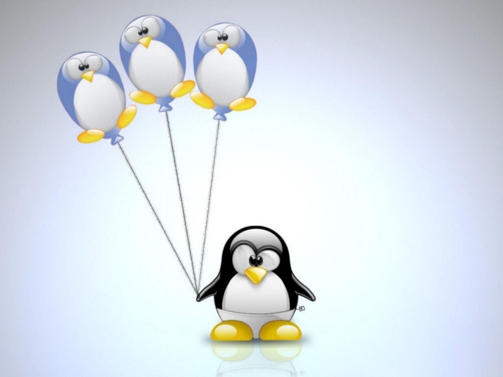 Desktop cartoon penguin picture download