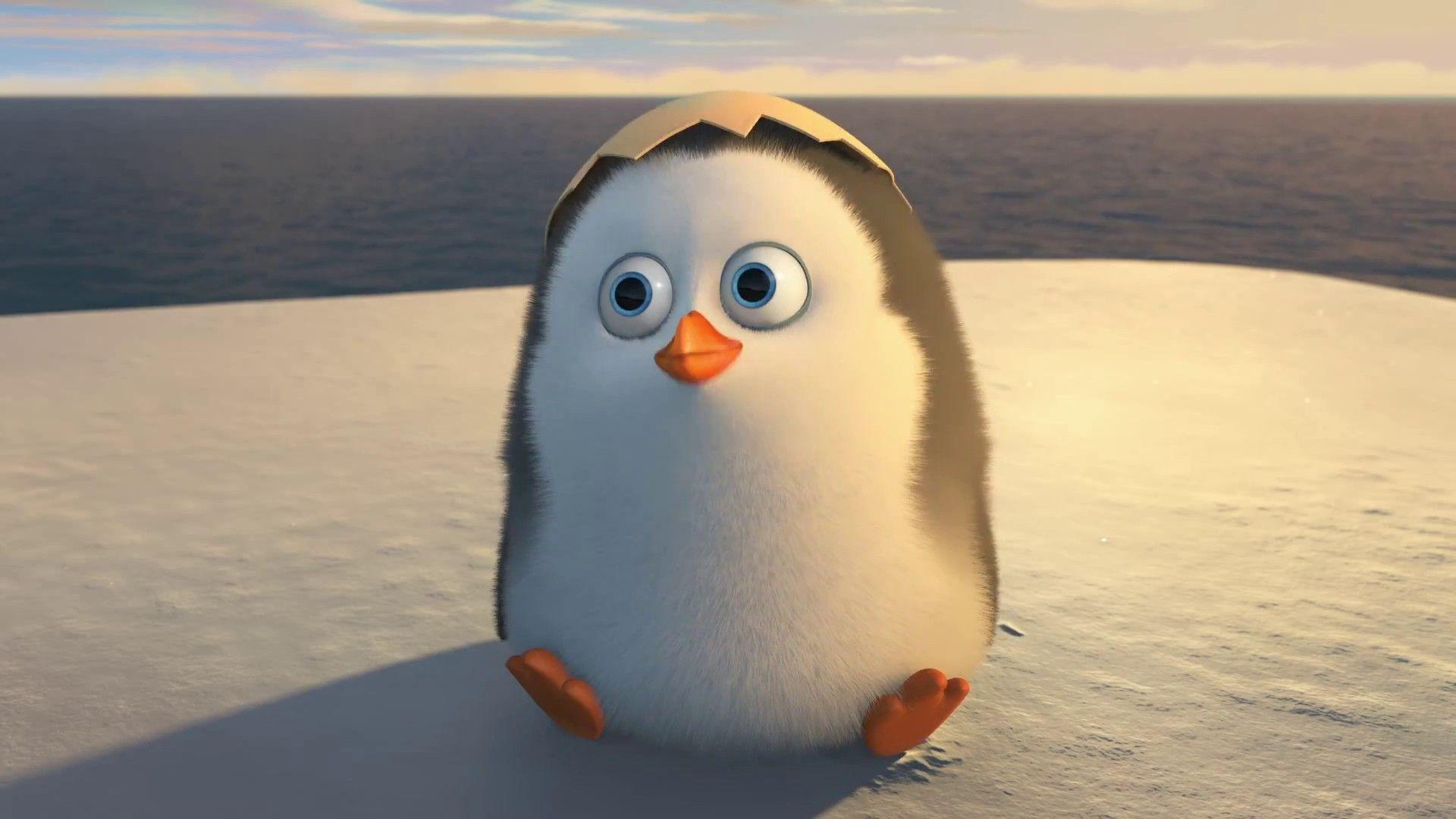 cute animated penguin wallpaper