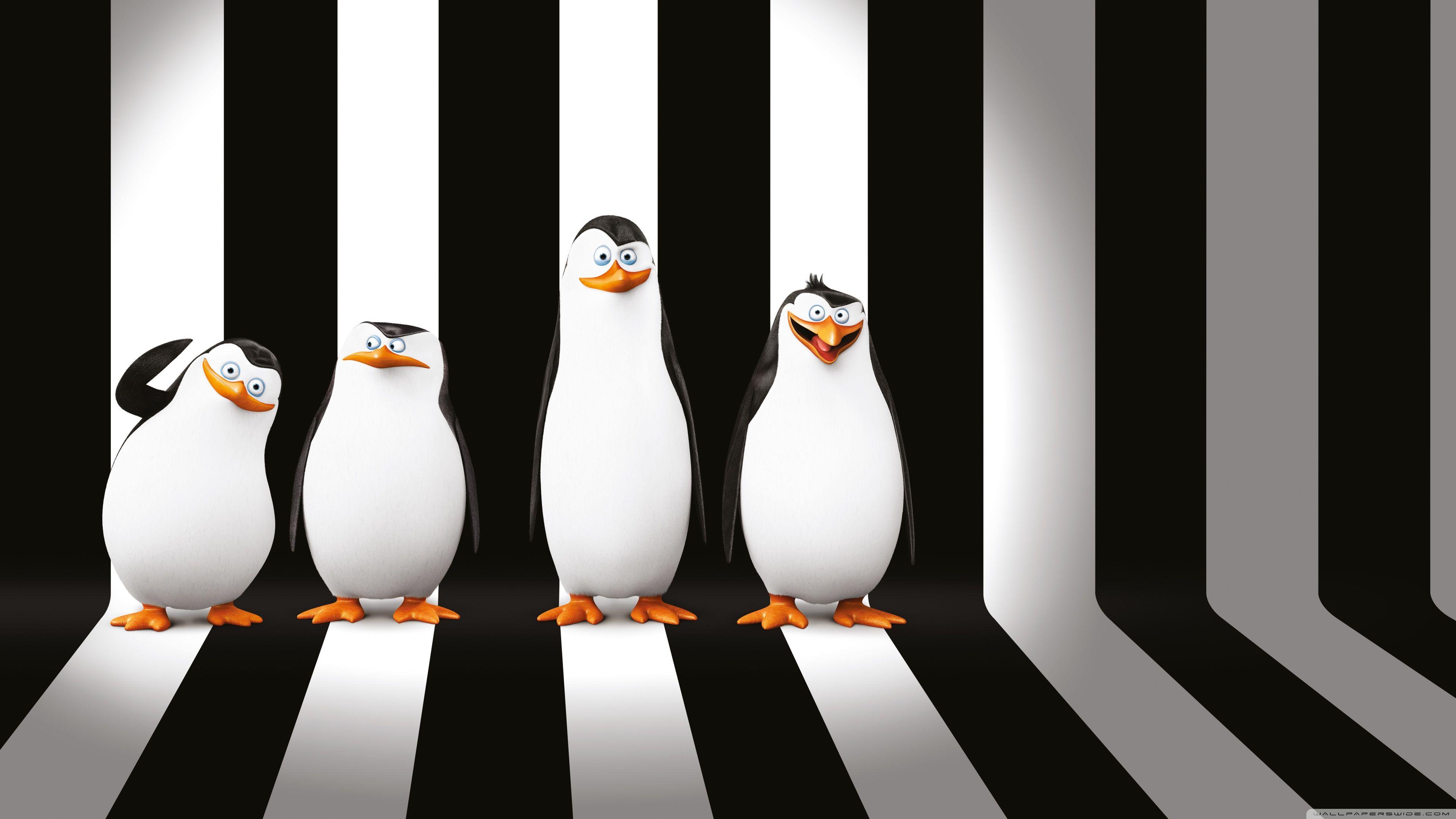 Animated Penguin Wallpapers - Wallpaper Cave