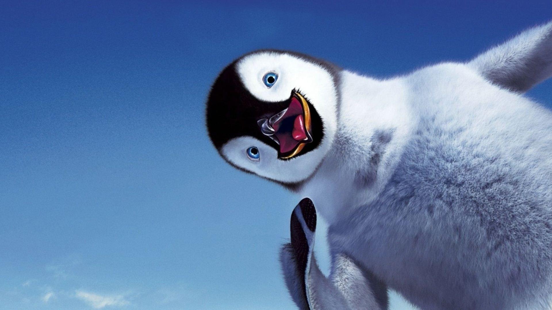 Penguin Background HD