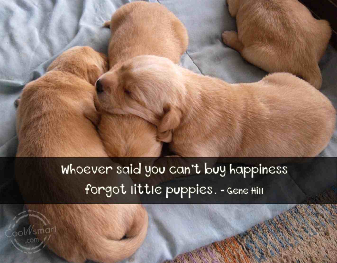 Puppy Sayings. Great Of Cute Dogs
