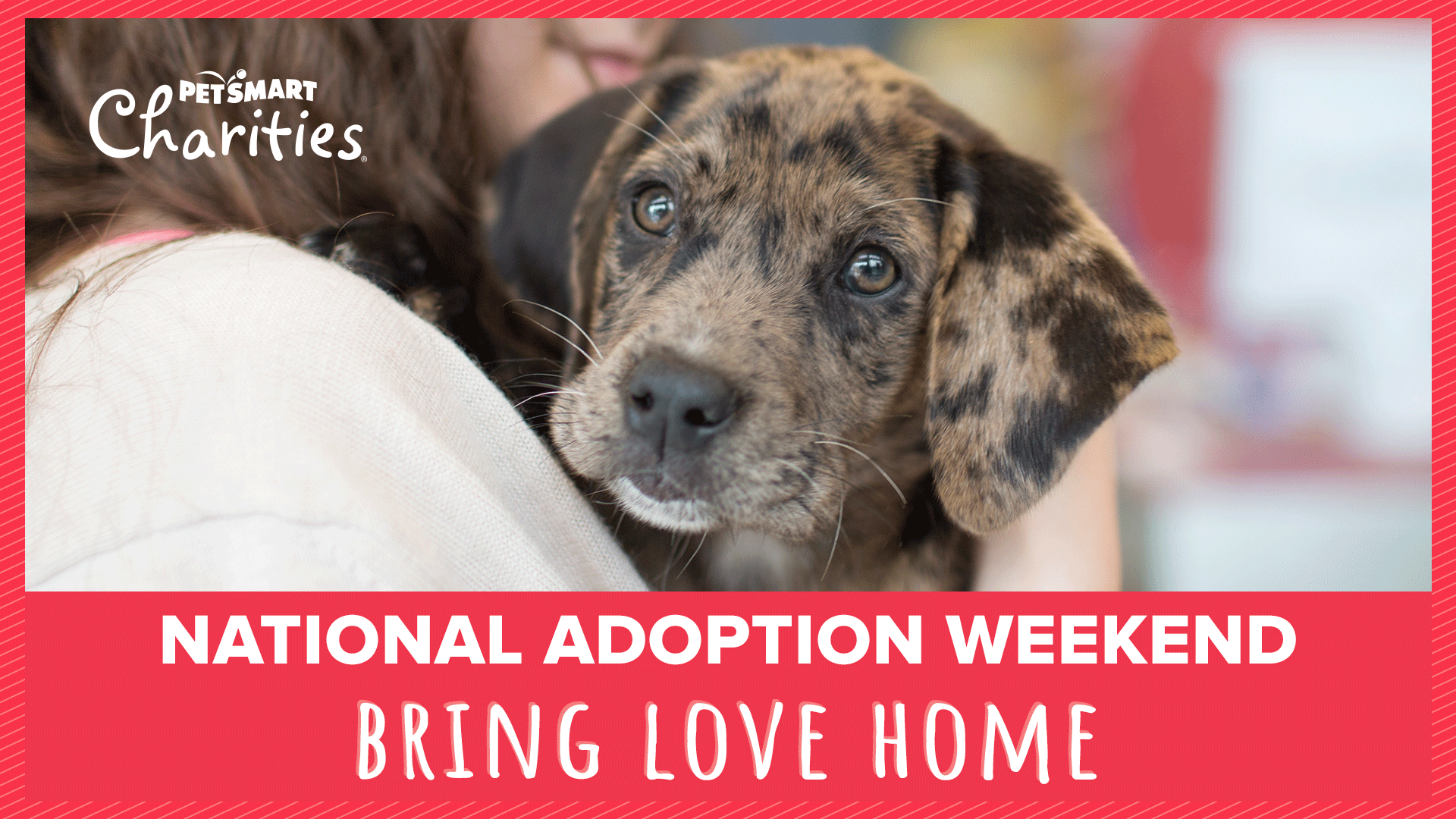 PetSmart Charities National Adoption Weekend Beach