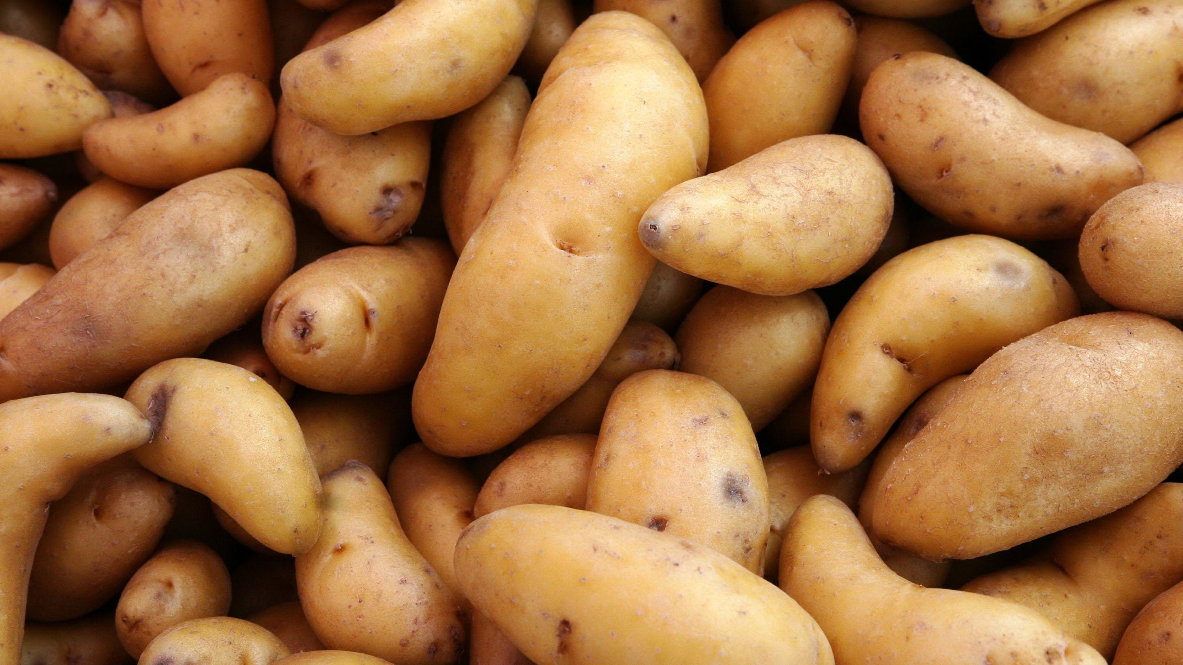 Potatoes Wallpapers - Wallpaper Cave