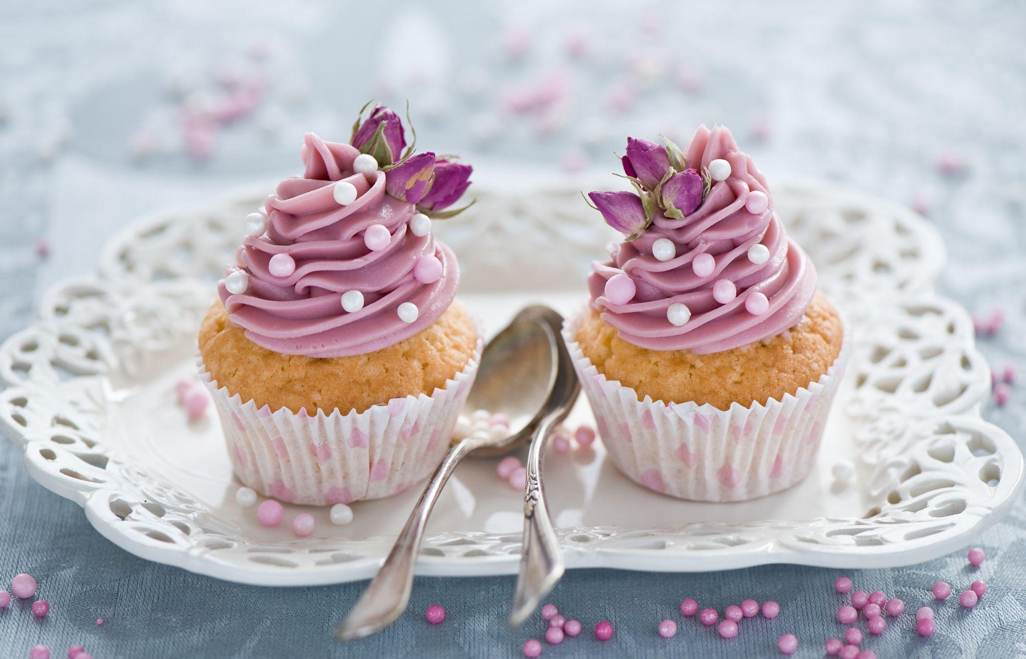 Cupcake HD Wallpaper and Background Image
