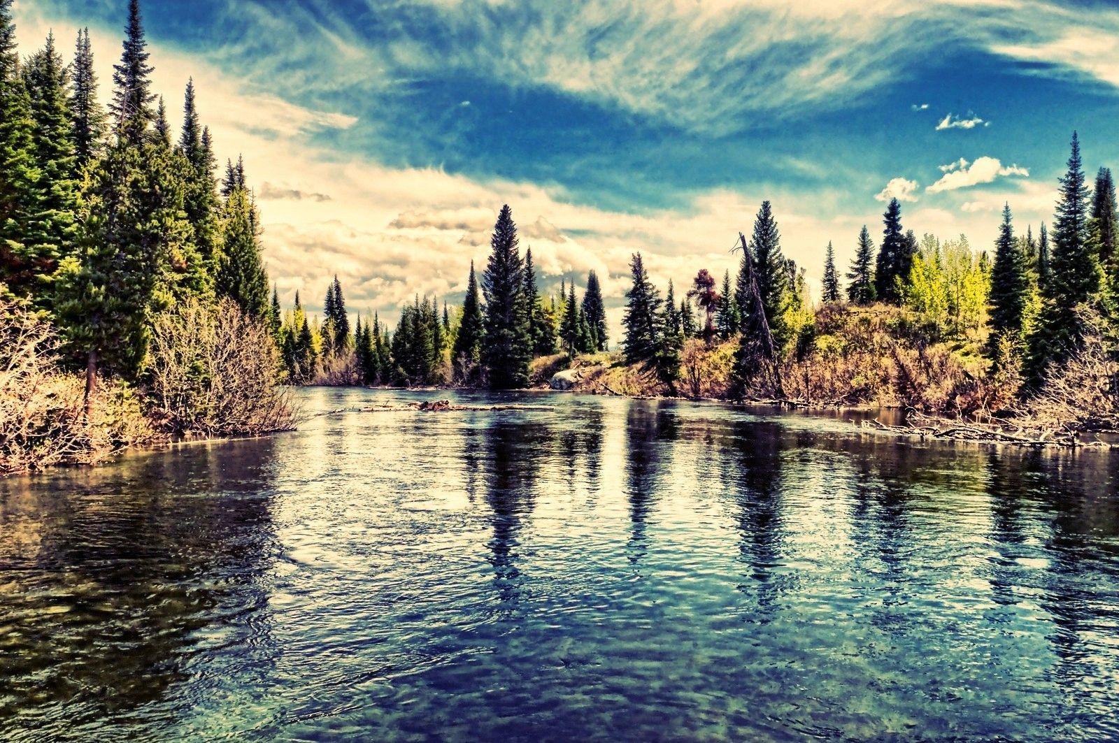 Lakes: Park Wyoming Grand Forest Teton Sky Beautiful Water Lake