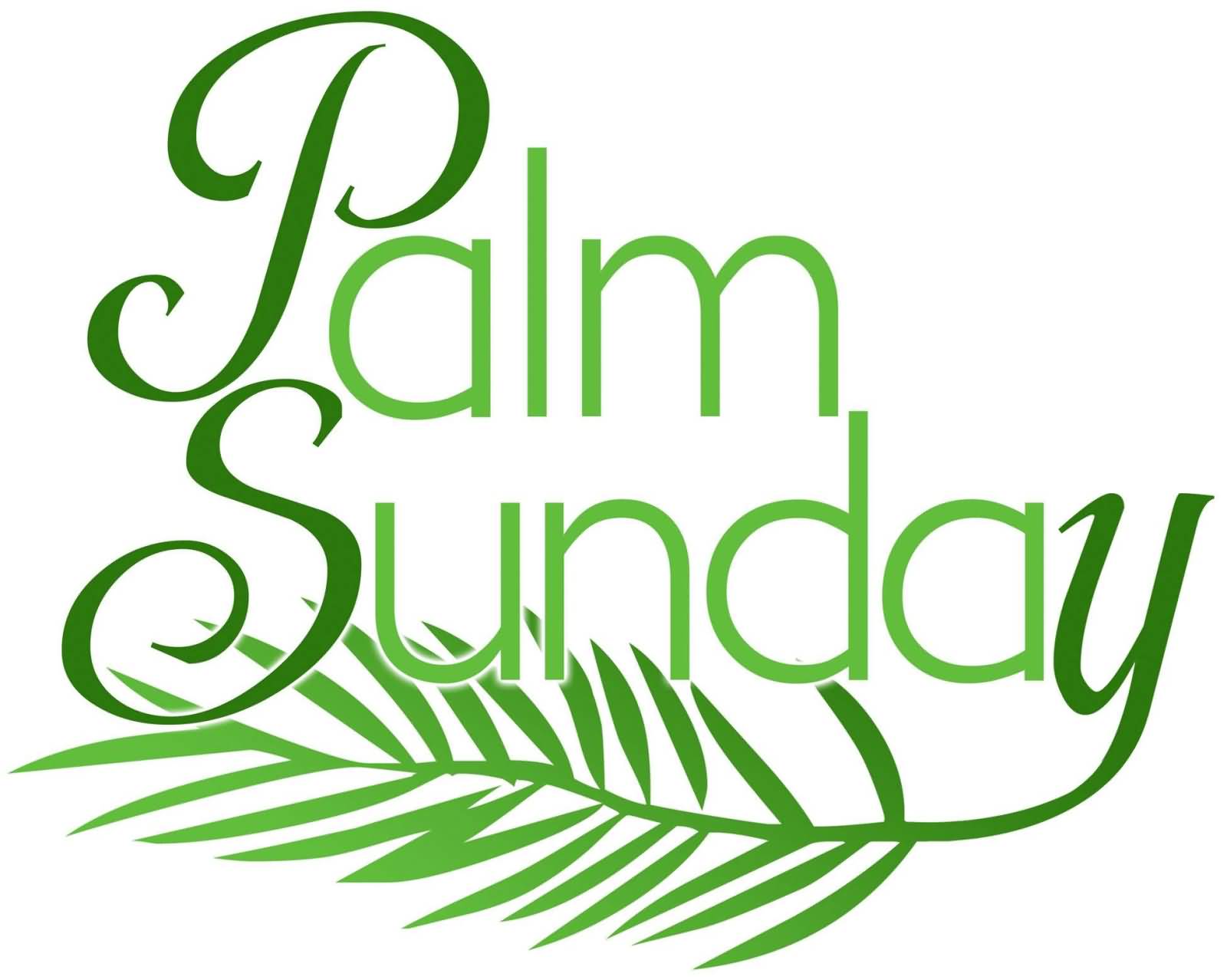 Beautiful Palm Sunday Greeting Picture And Image