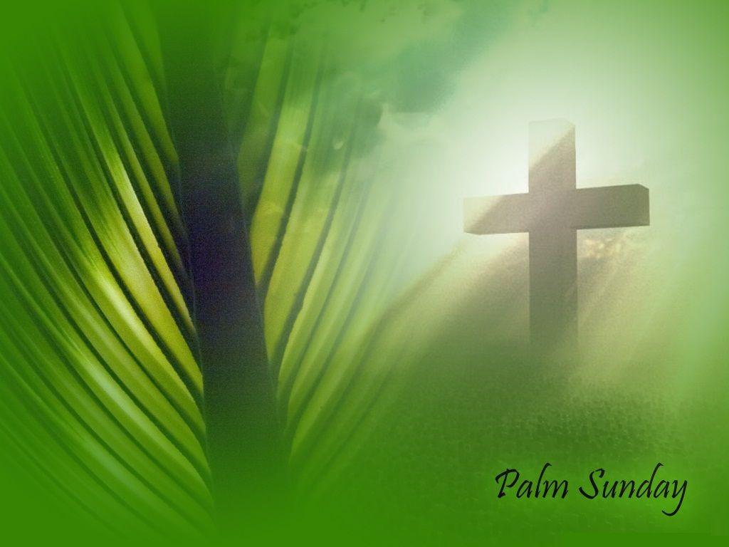 palm sunday photo. Palm Sunday Wallpaper 02. Grace, Grace, Gods