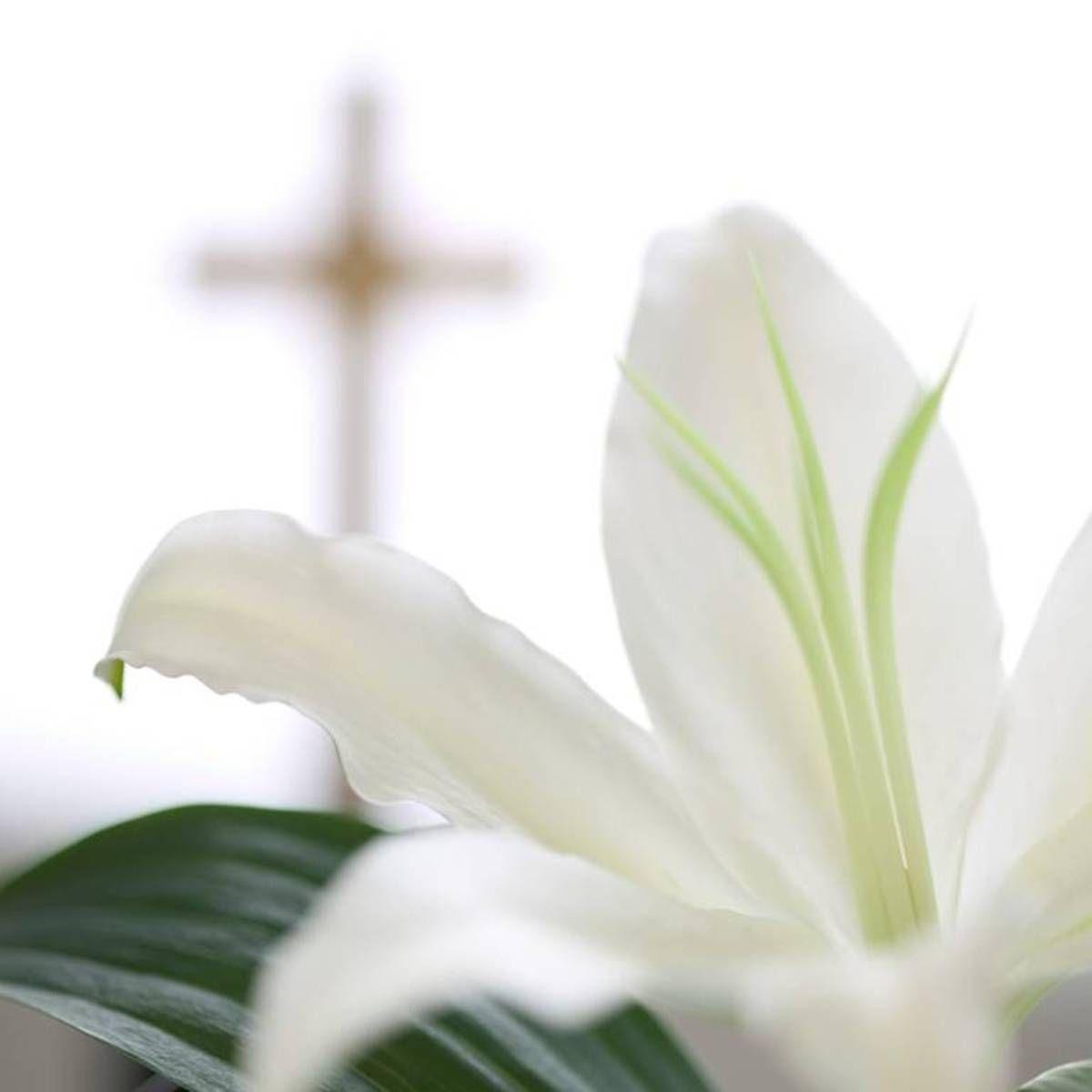 Holy Week and Easter Sunday Events