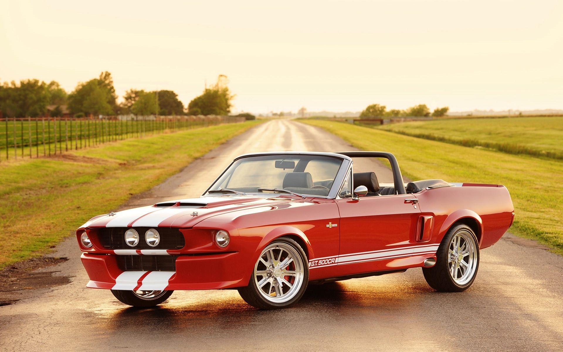 Ford shelby gt500 cool car picture wallpaper hd, ford