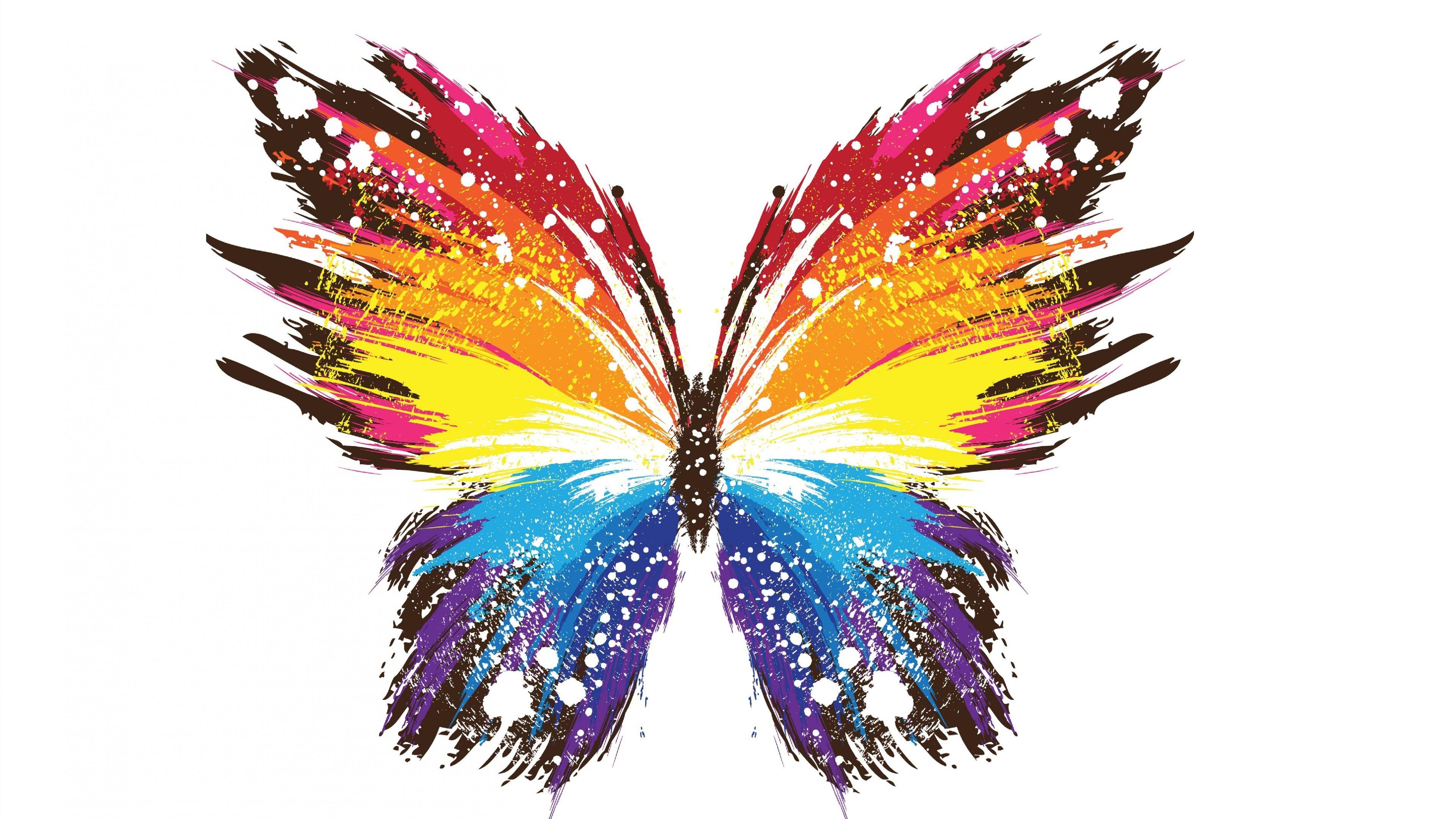 Butterfly Abstract Colorful, HD Abstract, 4k Wallpapers, Image