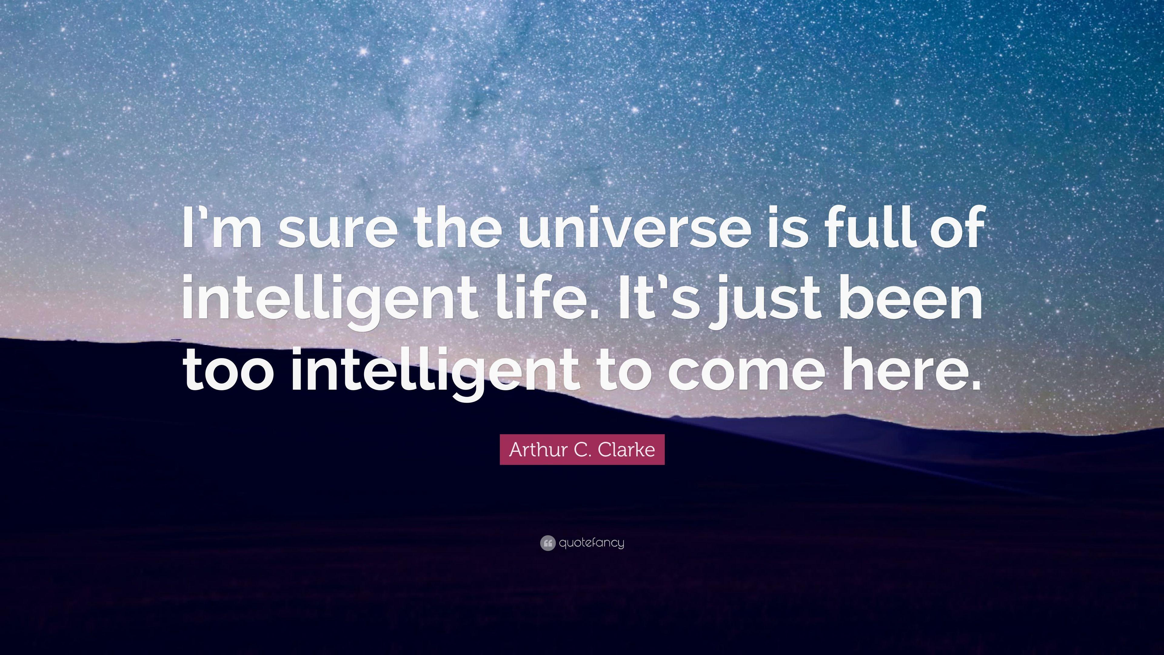Intelligent Quotes About Life Intelligent Quotes 40 Wallpaper