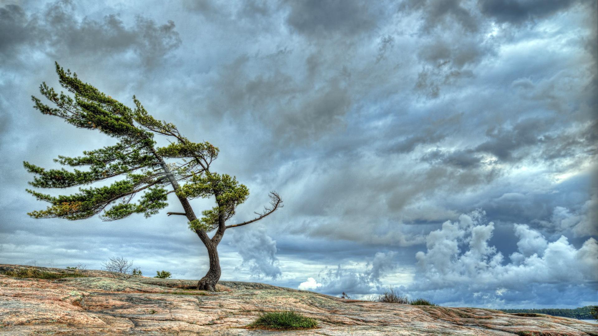 Wind Wallpapers Wallpaper Cave