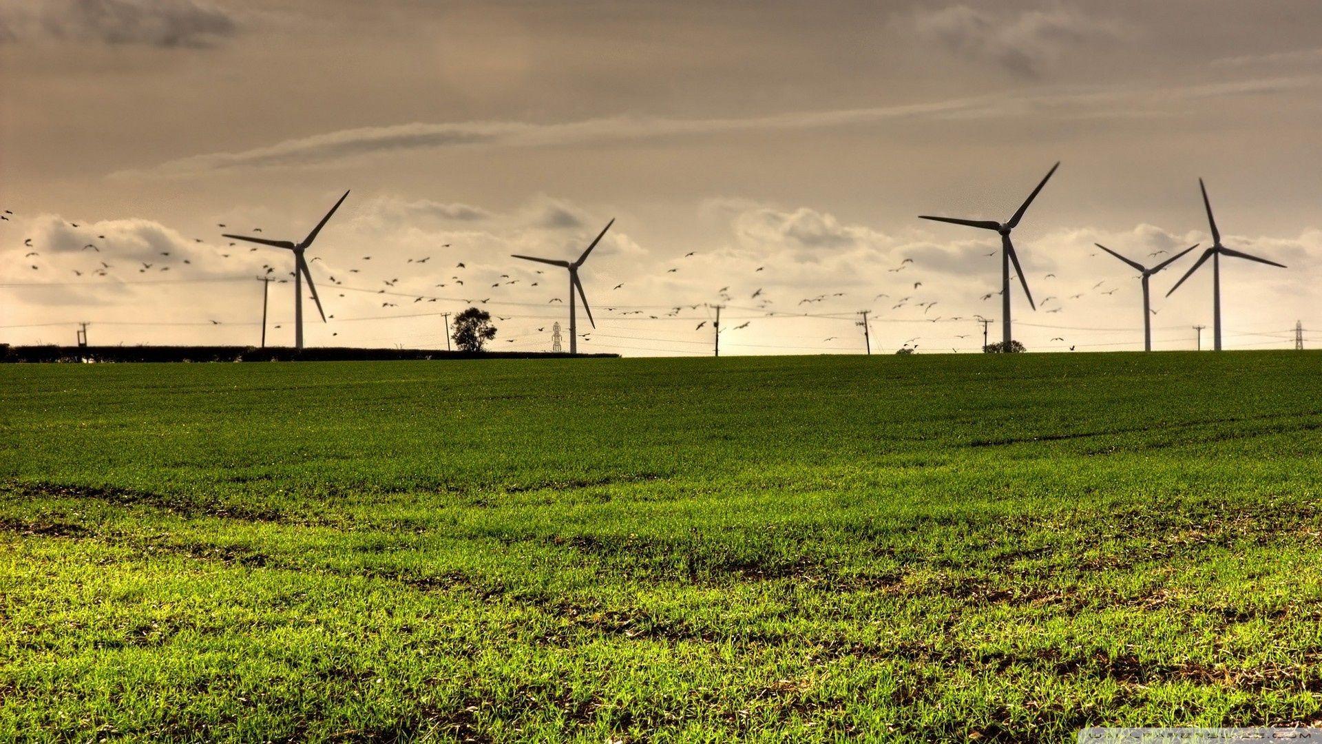 Nature & Landscape Wind Turbine Fields wallpaper Desktop, Phone