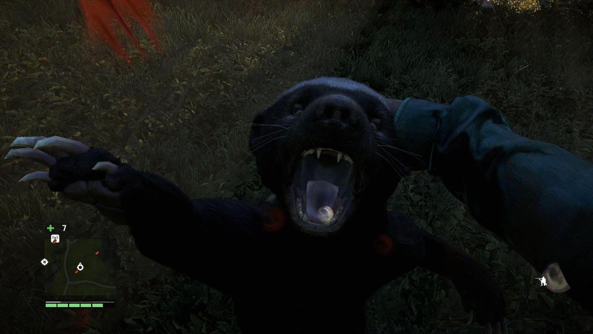 iPhone 6 Honey Badger Wallpaper Many HD Wallpaper