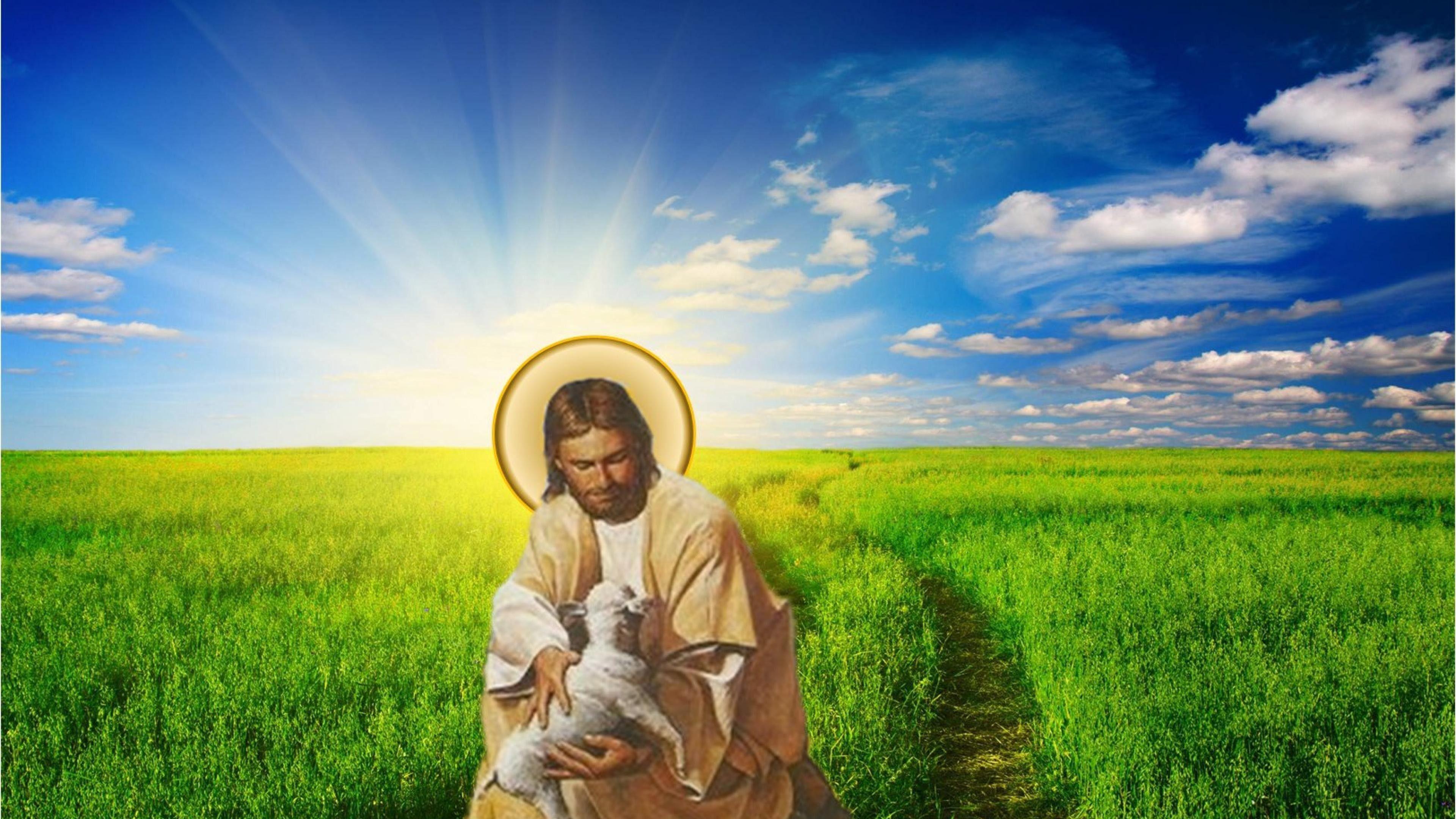 Shepherd Christ Jesus God Wallpaper 2017. Free 4K Wallpaper