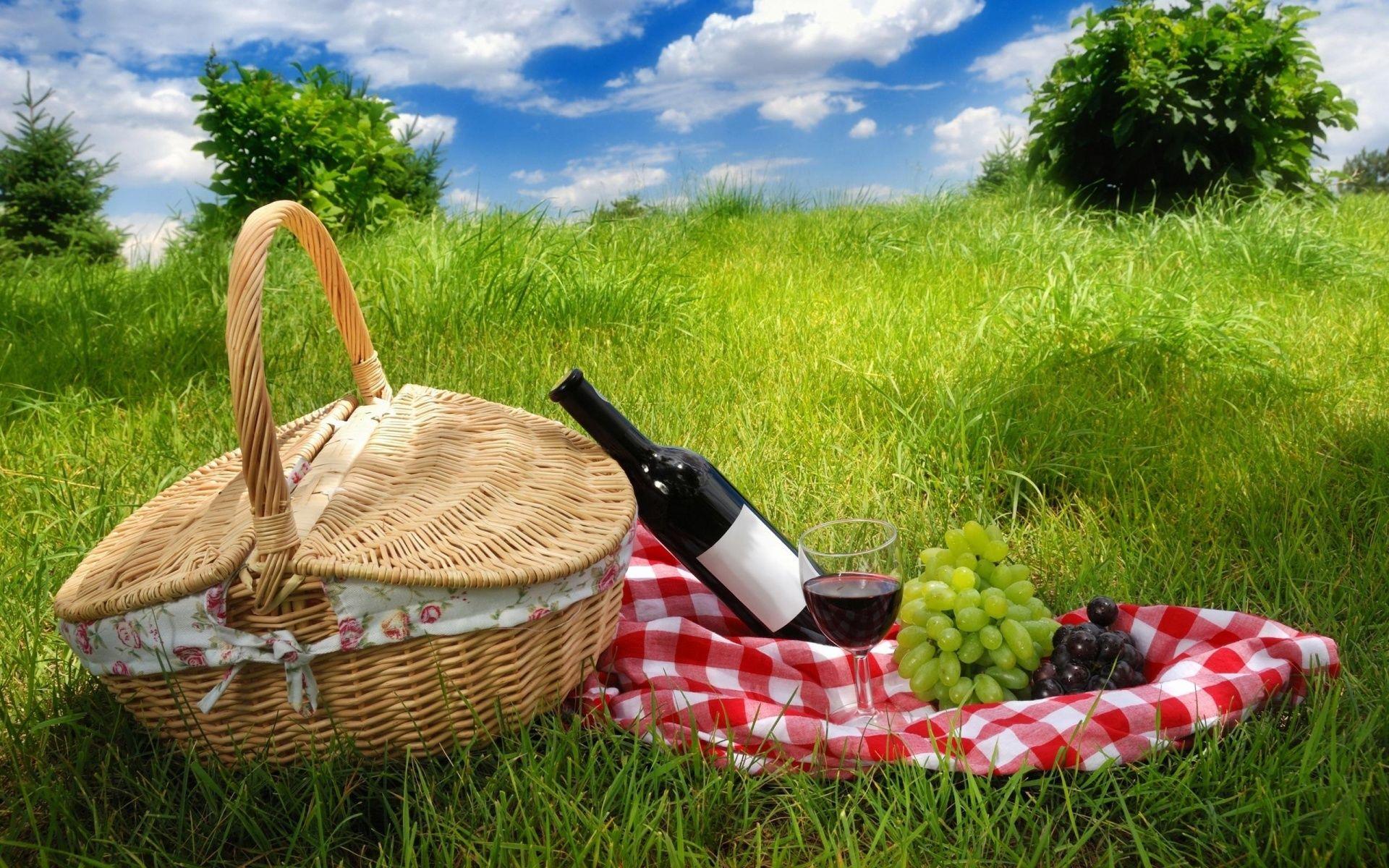 Fantastic Picnic Wallpaper