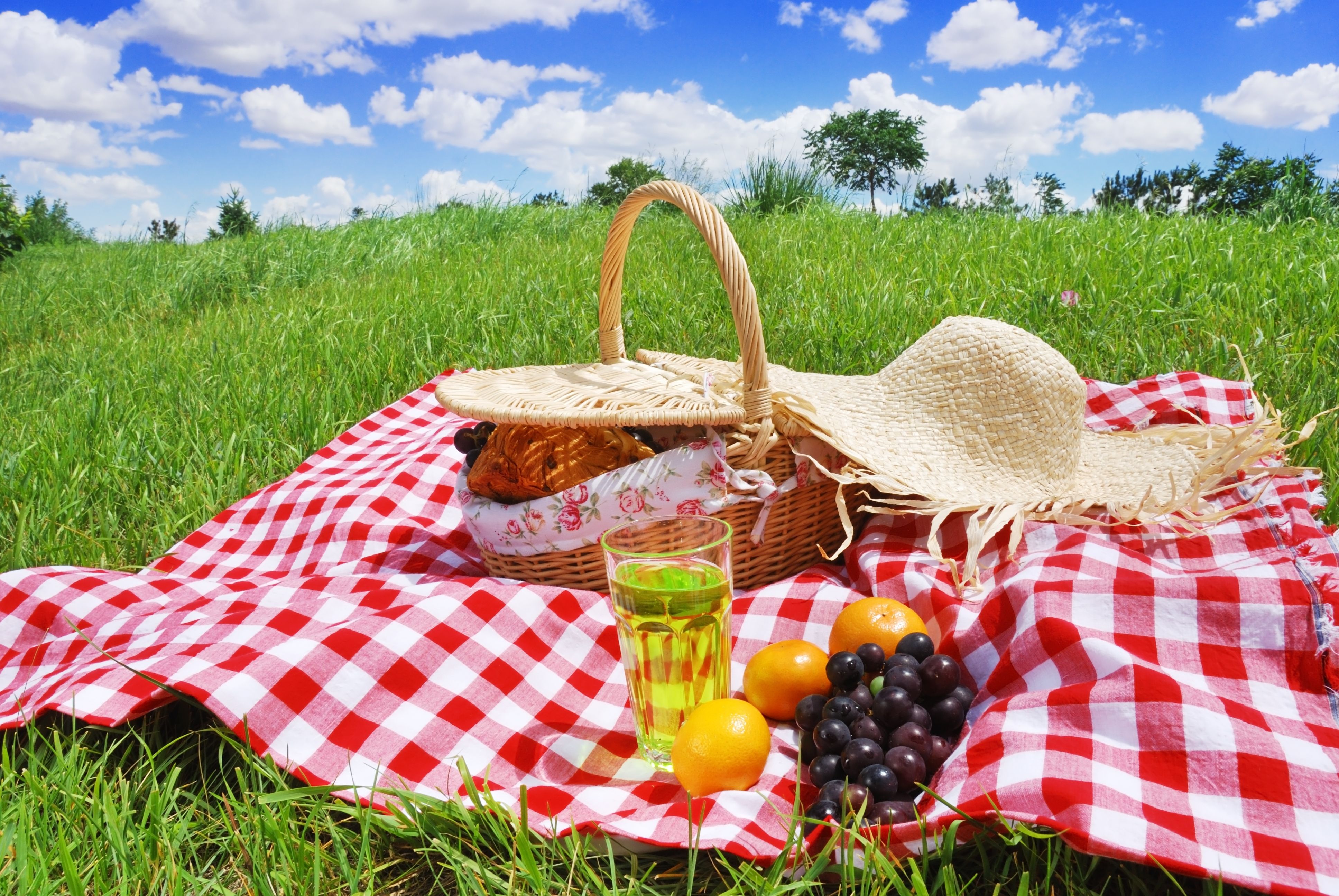 Fantastic Picnic Wallpaper