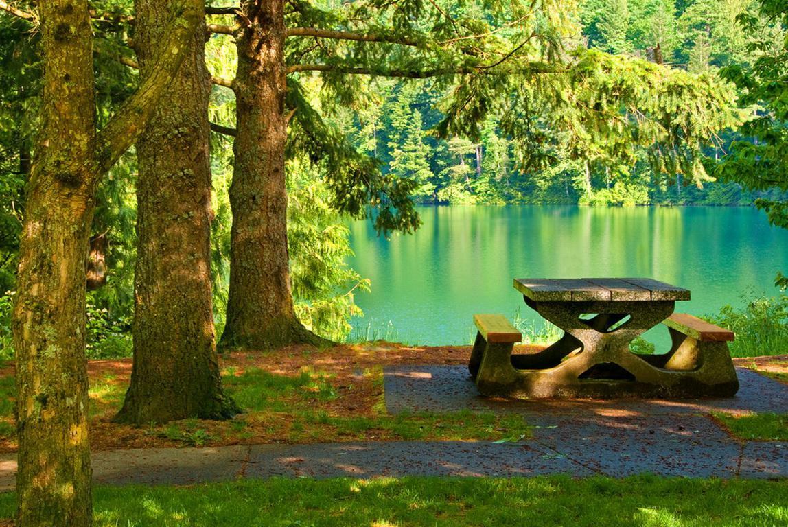 Picnic Wallpaper