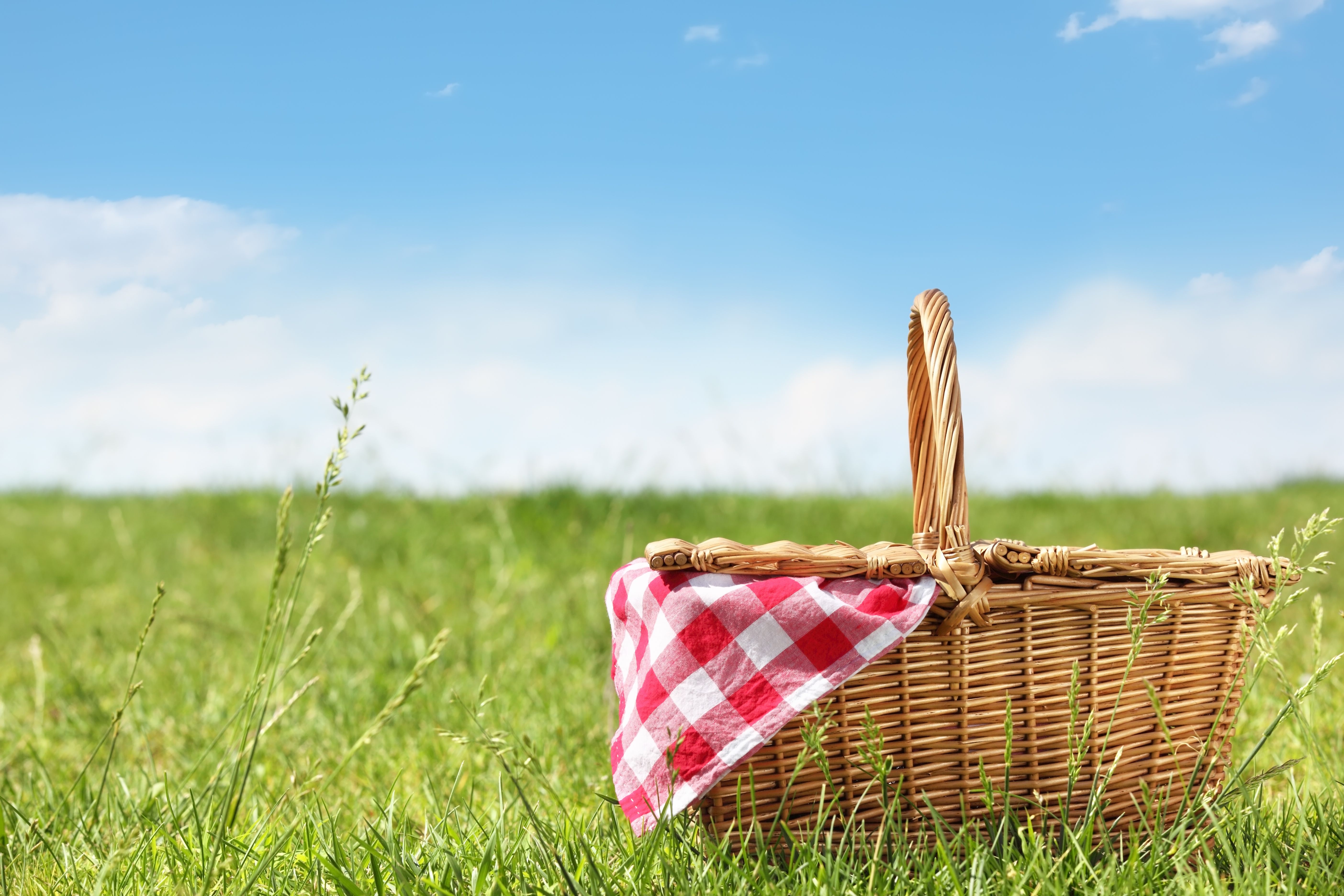 Fantastic Picnic Wallpapers - Wallpaper Cave