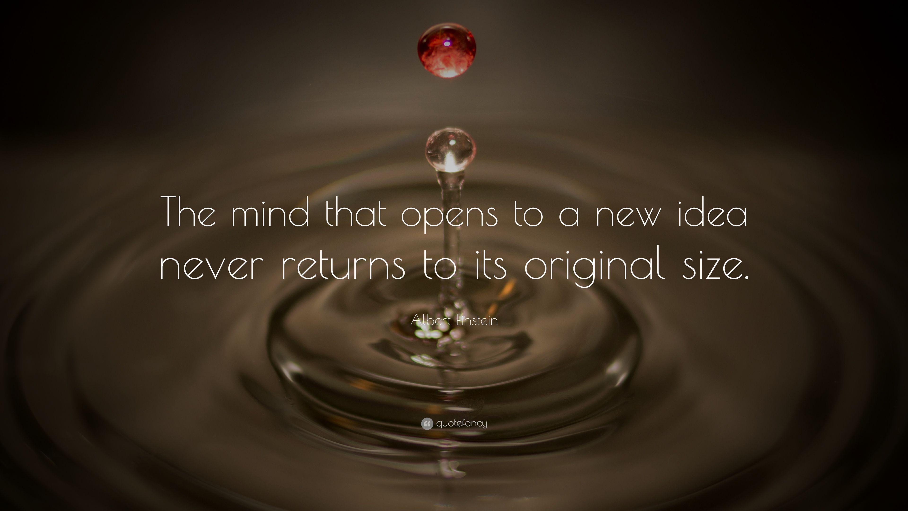 Albert Einstein Quote: “The mind that opens to a new idea never