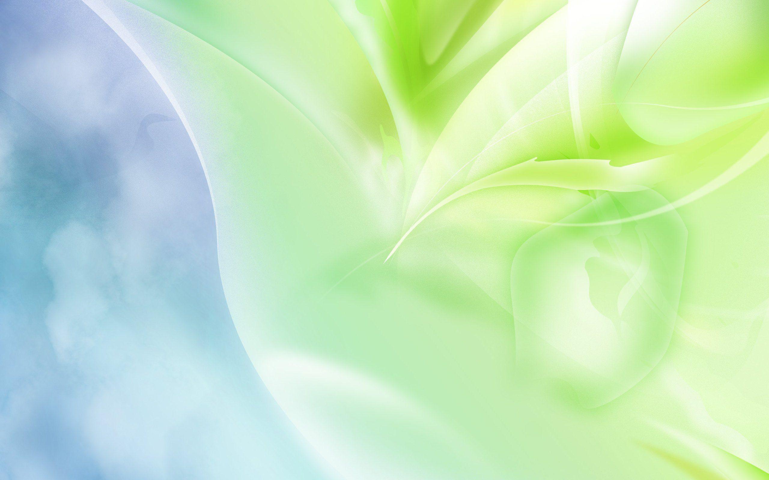 Green Full HD Wallpaper and Background Imagex1600