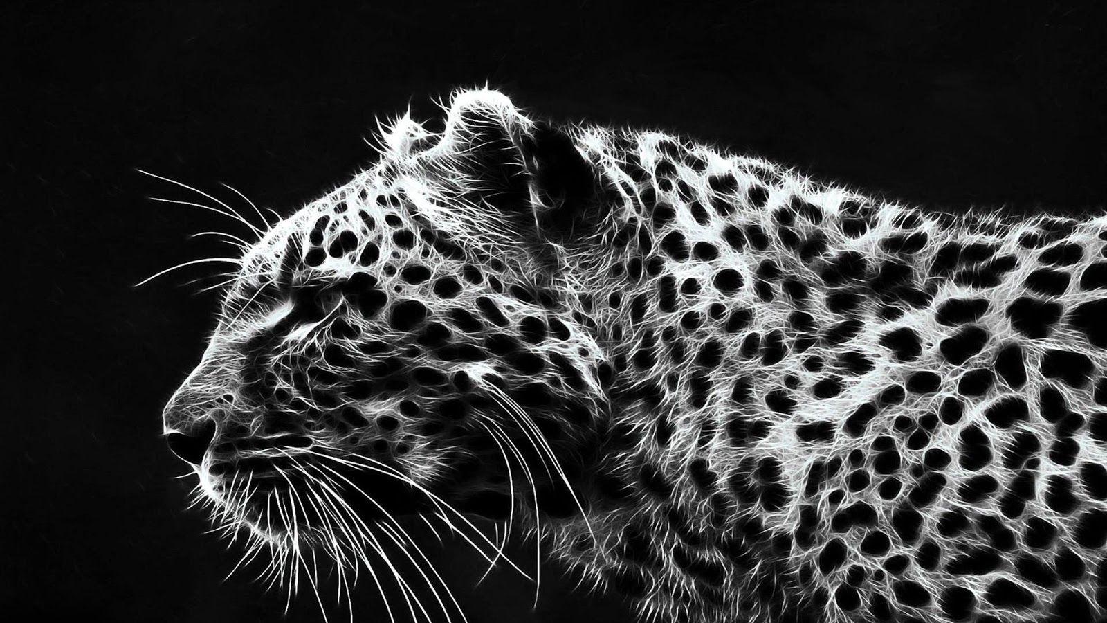Black And White Cheetah Wallpaper WallpaperPulseD Wallpaper