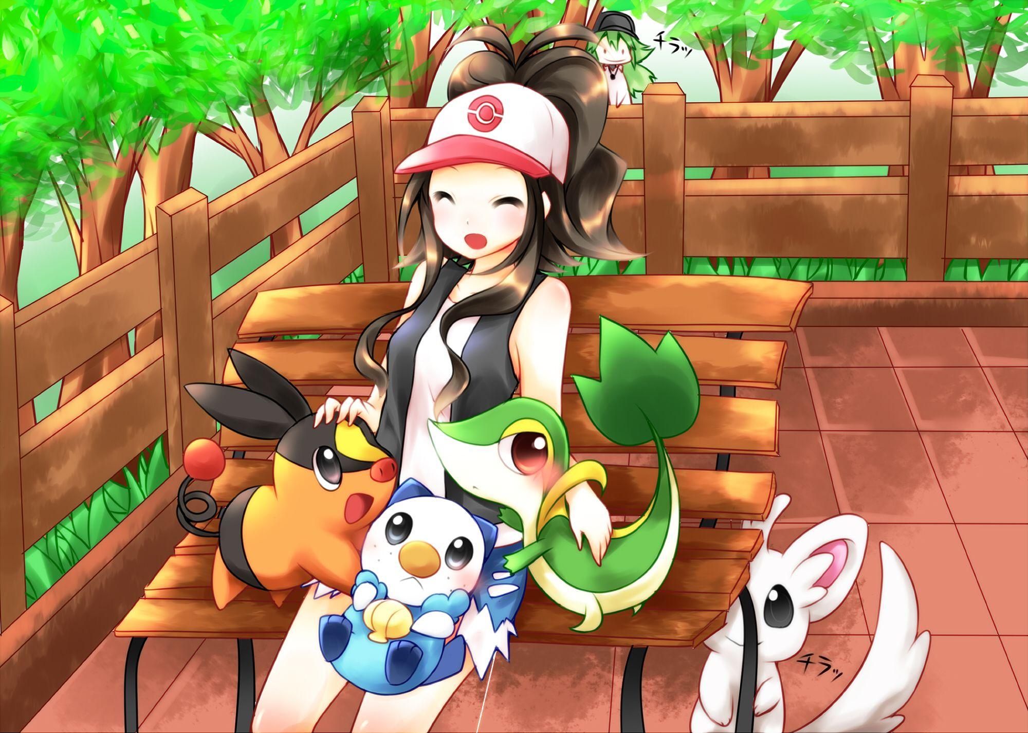 Minccino (Pokémon) HD Wallpaper and Background Image