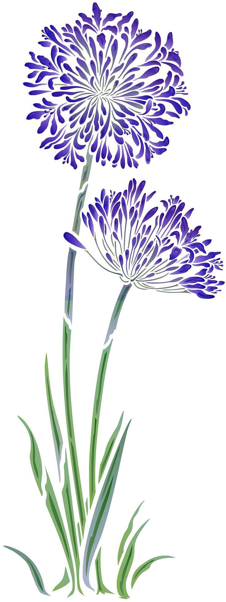 best Agapanthus Flower Stencil image. Agapanthus