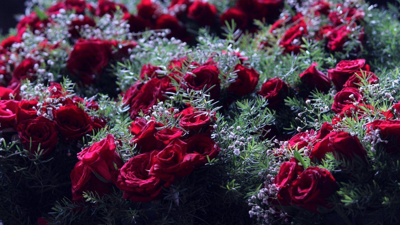 Flower: Flower Agapanthus Sky Spring Blue Water Madeira Praecox