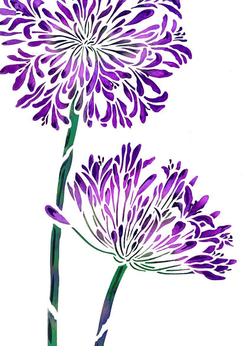Exquisite large 2 sheet flower stencil The Large Agapanthus