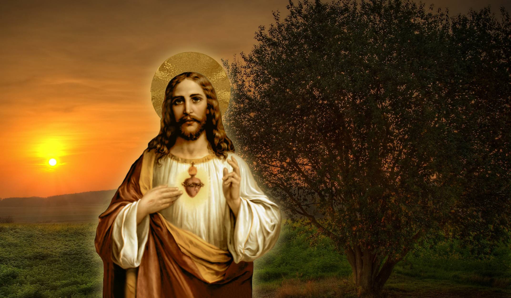 Sacred Heart Of Jesus Wallpaper