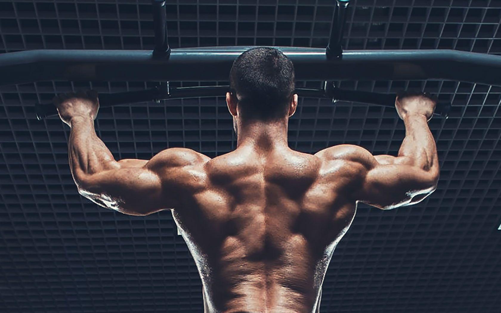 The Complete Guide to Body Weight Workouts
