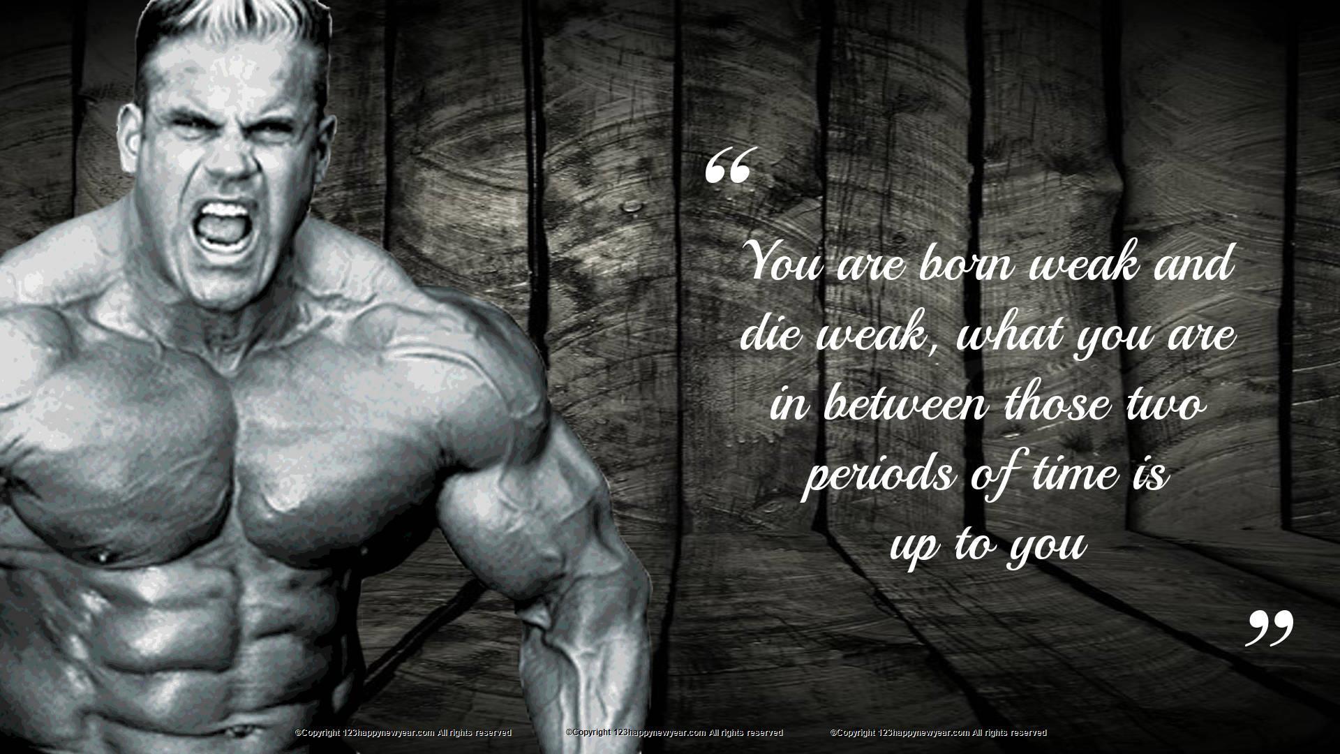 Bodybuilding gym workouts wallpaper